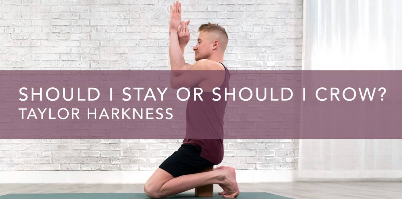 Should I Stay or Should I Crow? (2020)