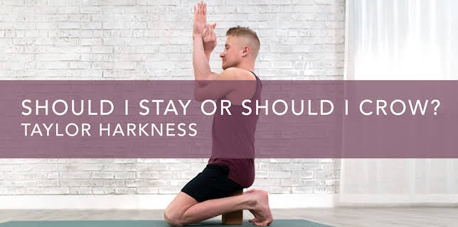 Should I Stay or Should I Crow? (2020)