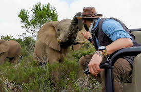 Season 1: Big Africa Safari