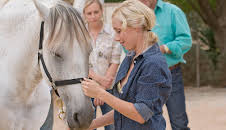 McLeods døtre (S8 E17)