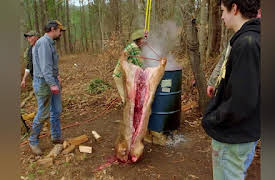 Live Free or Die Season 1: Rough and Rugged