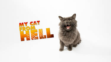 15:00: My Cat From Hell (S5 E4) (S5) | Animal Planet | 4/4 2026