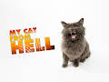 My Cat From Hell