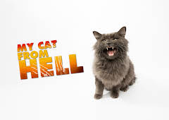 My Cat From Hell