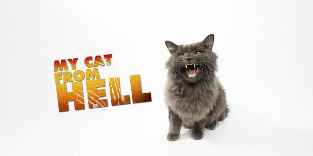 16:00: My Cat From Hell (S5 E1) (S5) | Animal Planet | 11/3 2025