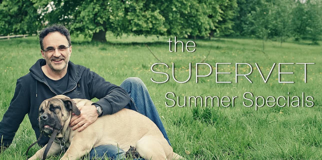 The Supervet: Summer Specials