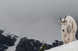 Life Story, Season 1: Home