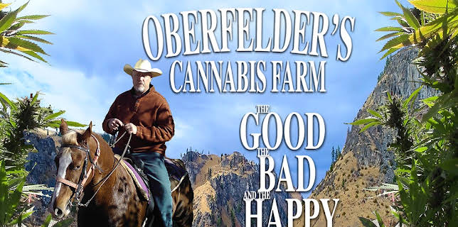 Oberfelder's Cannabis Farm, the Good, the Bad and the Happy (2018)