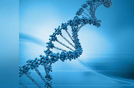 The Science of Information: From Language to Black Holes: What Genetic Information Can Do