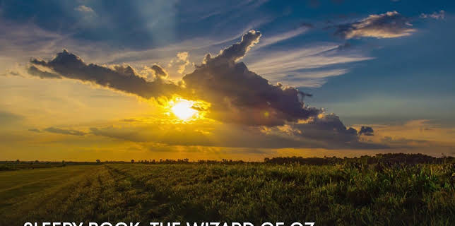 Sleepy Book: The Wizard of Oz (2023)