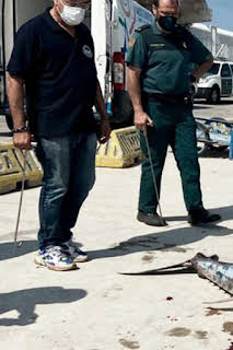 19:54: Seprona en acción: Episodio 8 | Discovery Max | 4/4 2026