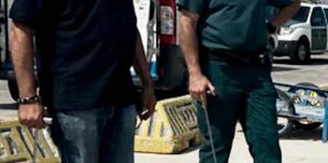 07:52: Seprona en acción: Episodio 8 | Discovery Max | 2/4 2026