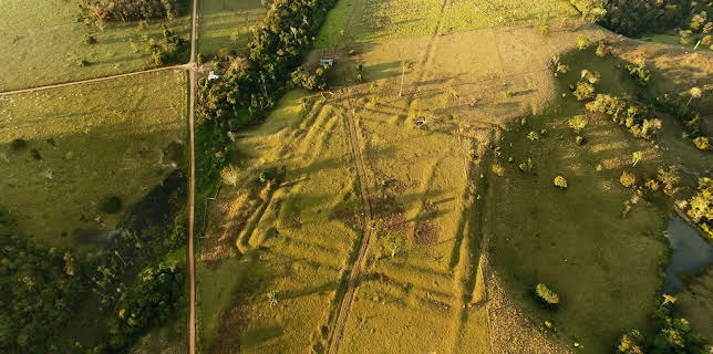 05:50: Verborgen im Dschungel - Geheimnisse aus der Vergangenheit | Kabel Eins Doku | 1/8 2026