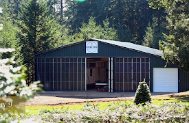 Tiny Luxury: Episode 10