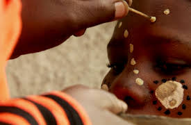 Wildest Africa: Cape Coast Where Worlds Collide