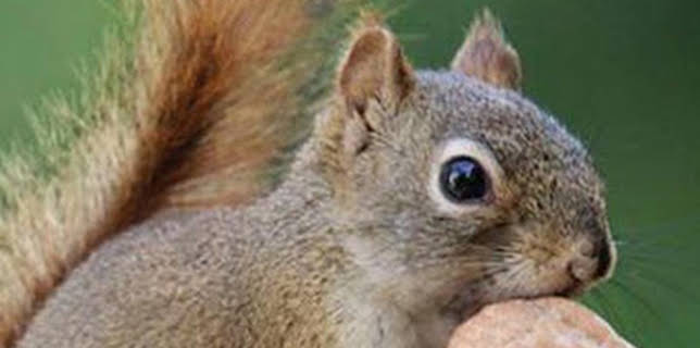 16:37: Súper ardilla | La Otra | 12/20 2025