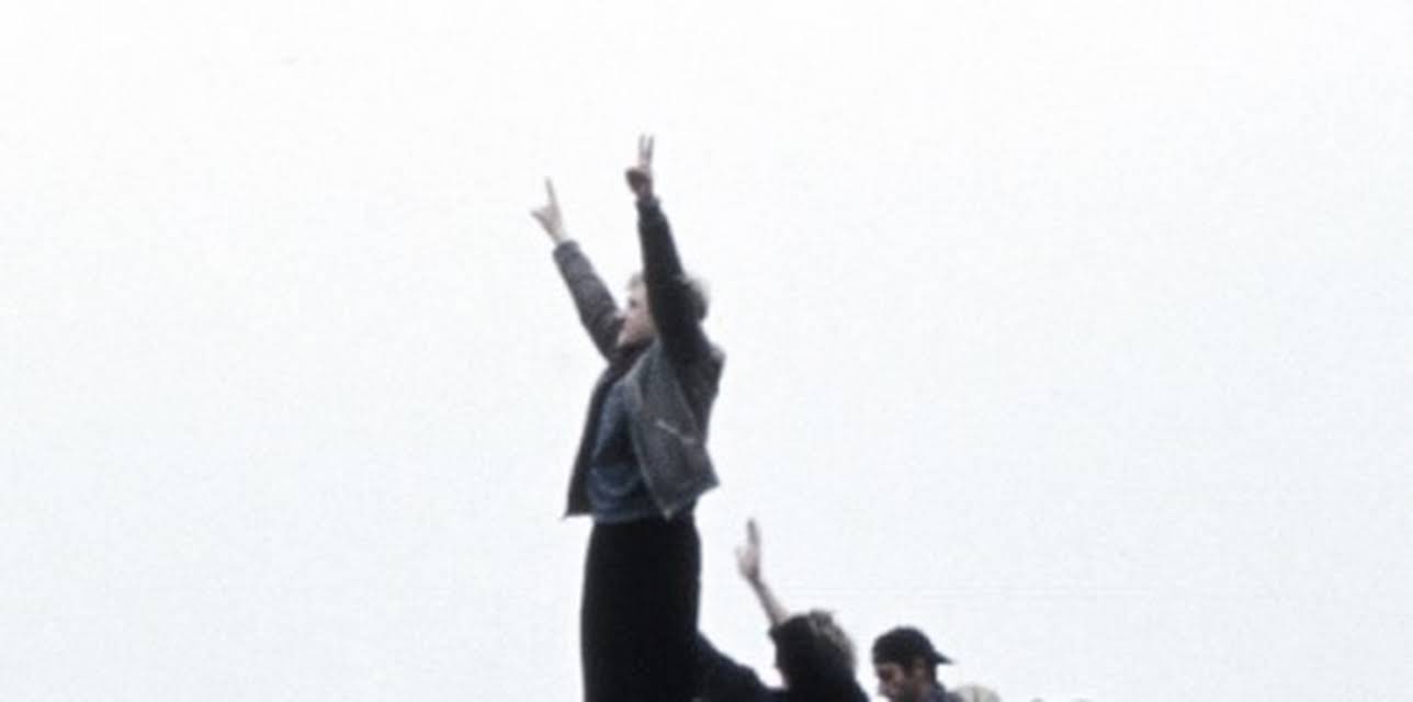 Declassified: Rise and Fall of the Wall (2004)