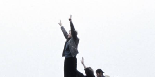 Declassified: Rise and Fall of the Wall (2004)