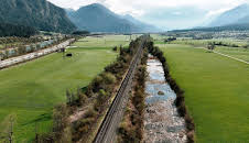 Expeditionen ins Tierreich