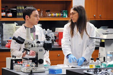19:50: Big Bang Theory, The (S5 E16) (S5) | Kanal 9 | 8/31 2026