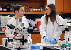 Big Bang Theory, The