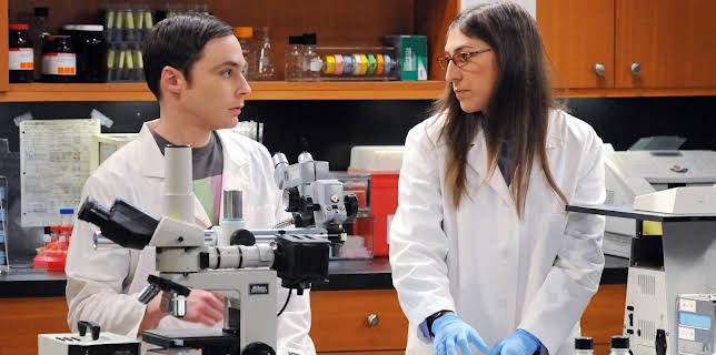 20:20: Big Bang Theory, The (S5 E16) (S5) | Kanal 9 | 12/29 2025