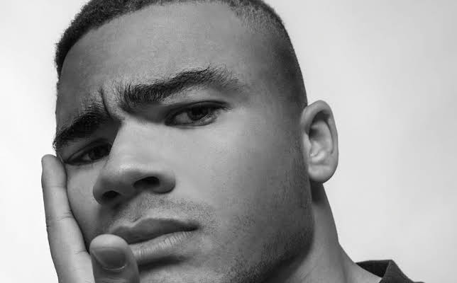 Alexander Bryld Obaze