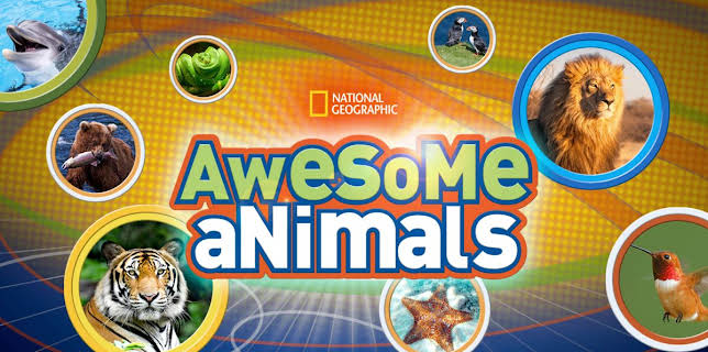 Awesome Animals