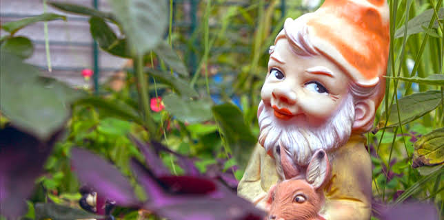 19:30: ZDF-History | ZDFinfo | 11/15 2025