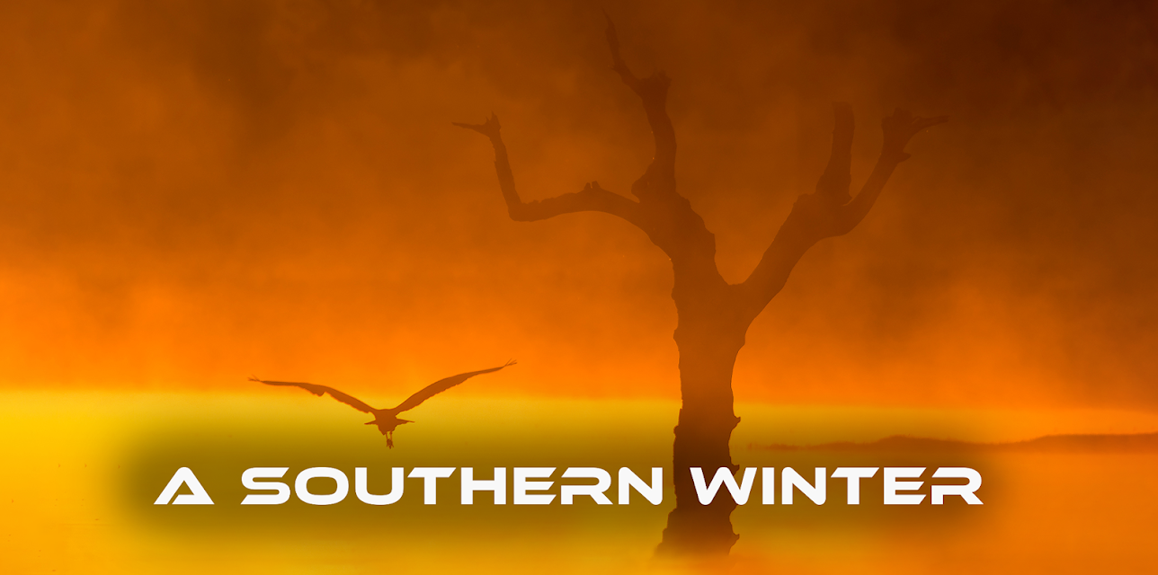 A Southern Winter (2017)