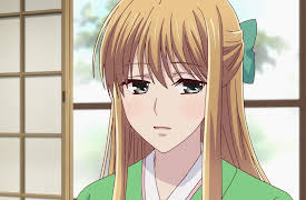 Fruits Basket: Season 1: I'm So Sorry!
