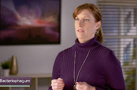 The Hidden Power of Microbes: Viruses and Bacteriophages