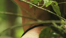 Aventura en pelotas: Los peligros de la Amazonia