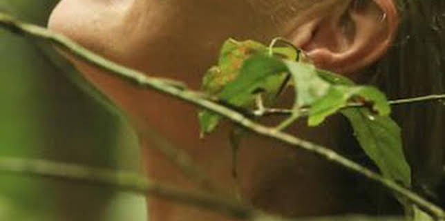 08:36: Aventura en pelotas: Los peligros de la Amazonia | Discovery Max | 3/3 2026