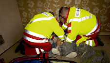 Auf Streife - Die Spezialisten