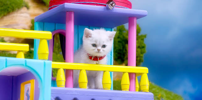 17:20: Rosin og Bolle: Plaskeball | NRK Super | 1/22 2026