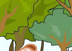 Explorando con Oliver Descubre