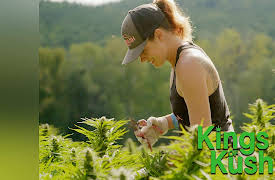 Kings of Kush: The Best Defense Is A Good Offense