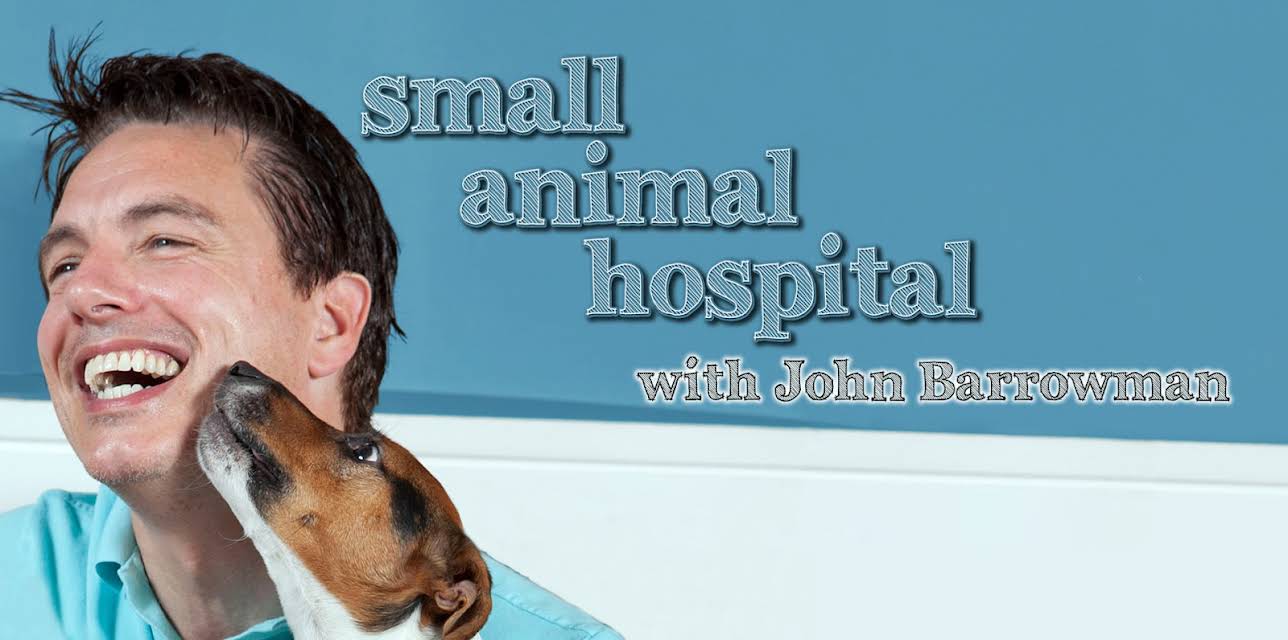 Small Animal Hospital