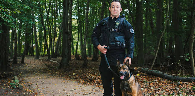 2:00 PM: Police Interceptors (S13 E3) (S13) | 5 Star | 11/11 2025