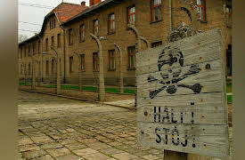 Forensic History: Crimes, Frauds, and Scandals: Forensics of Genocide