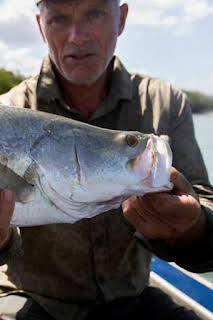 10:35: Aguas profundas con Jeremy Wade: Un invasor tóxico | Discovery Max | 7/5 2026