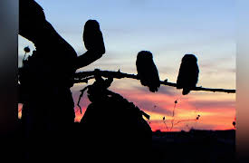 The Secret World of Nature: Spain: Meadows and Valleys