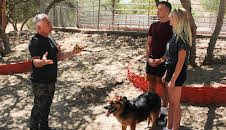 Cesar Millan: Better Human Better Dog - Bessere Menschen, bessere Hunde