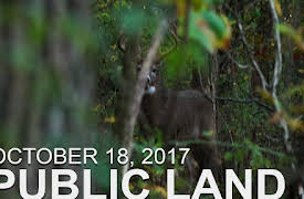 The Hunting Public: October 18 - Public Land: Ground Encounter With a Decoy