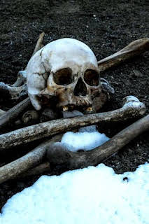11:47: Arqueología en el hielo: El misterio del lago de los esqueletos | Discovery Max | 8/24 2026