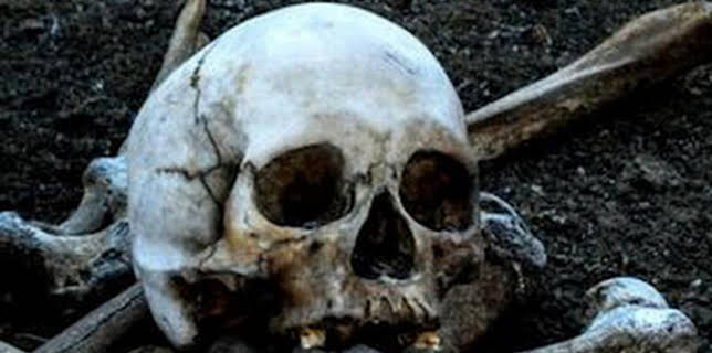 23:16: Arqueología en el hielo: La venganza del asesino zombi | Discovery Max | 12/5 2025