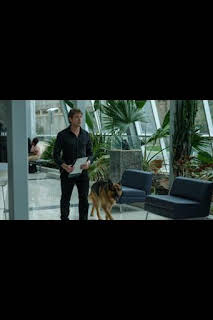 10:49: Hudson y Rex (T6): Ep.9 Hudson e hijo | Calle 13 | 4/6 2026