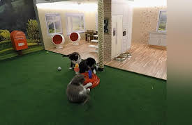 Meow Manor: The Time is Meow