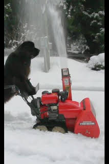 05:05: Ciencia para aficionados: Episodio 12 | National Geographic | 4/6 2026